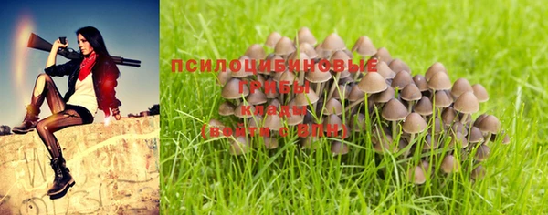 трава Липки