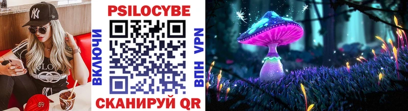 Купить  Южа  Псилоцибиновые грибы прущие грибы 