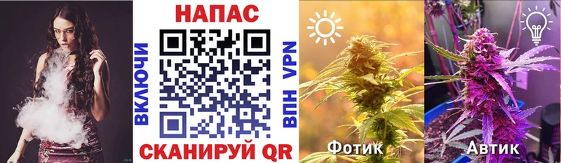 Купить закладки  Южа  МАРИХУАНА VHQ 